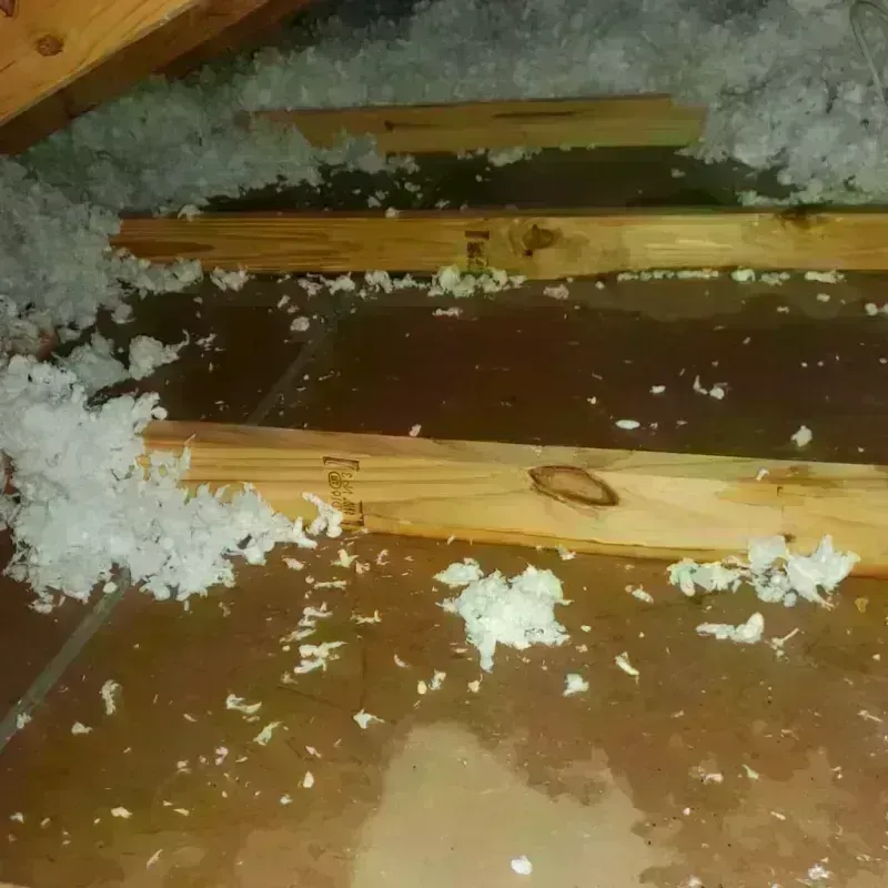 Attic Water Damage in Jefferson County, WV