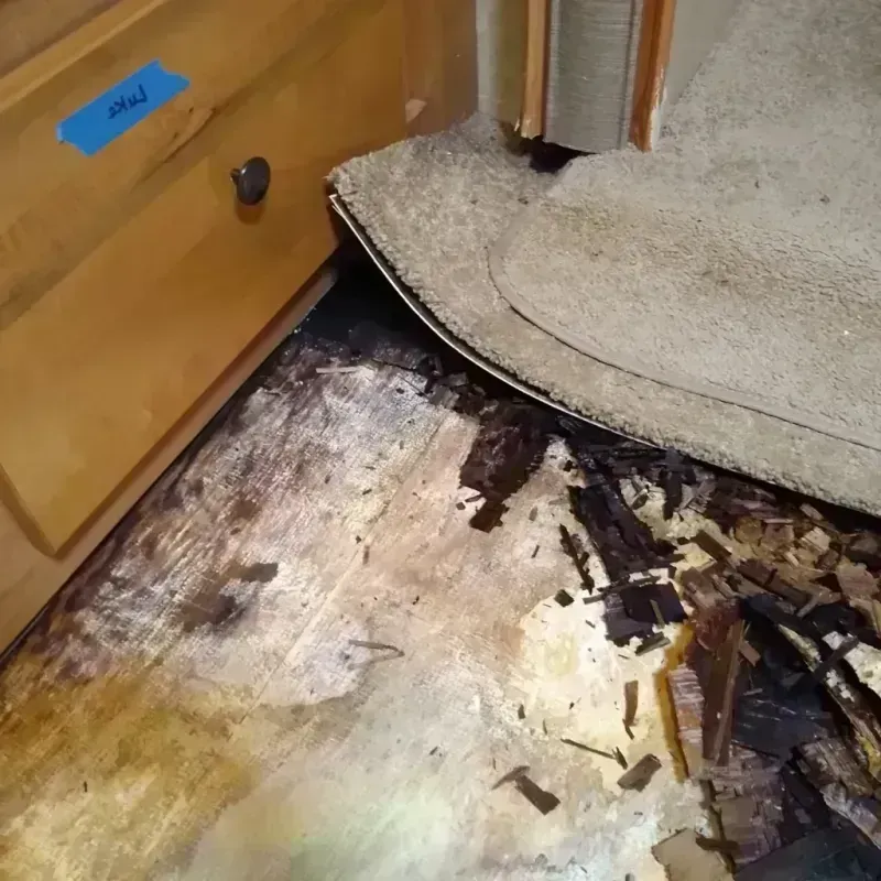 Best Wood Floor Water Damage Service in Jefferson County, WV